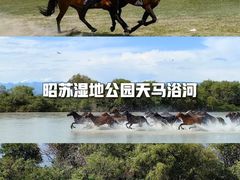 -赛里木湖风景名胜区