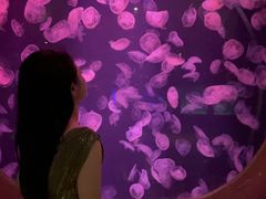 -亚特兰蒂斯•OSSIANO奥西亚诺海底餐厅