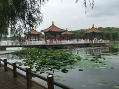 -长春市南湖公园