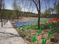 -鄂尔多斯野生动物园