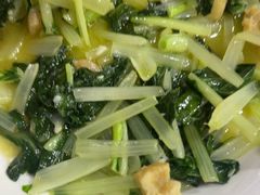 -食德喜·阳山鸡王食研基地