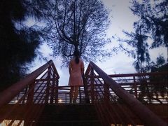 -宝安西湾红树林湿地公园