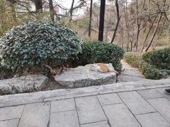 -贮水山儿童公园