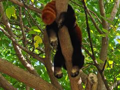 -常州淹城野生动物世界