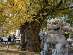 -北京石刻艺术博物馆(五塔寺)