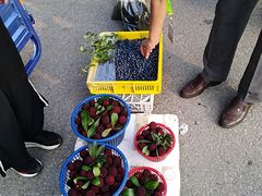 -长兴慧子土特产茶行