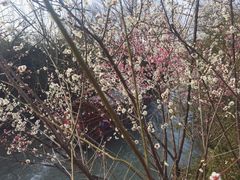 -烟水渔庄餐厅(西溪湿地店)