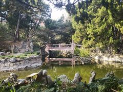 -叶家花园