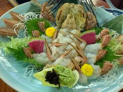 -蟹料理 北海道かに将軍(札幌本店)