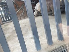 -武汉动物园
