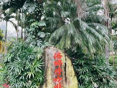 -兴隆隆苑咖啡庄园