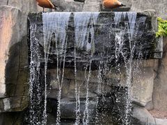 -上海野生动物园