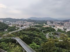 -福道