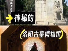-洛阳古墓博物馆