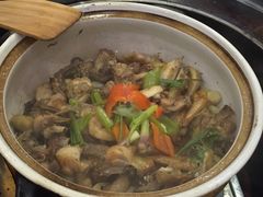 -鸽鸟轩(石岐店)