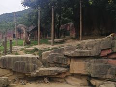 -无锡动物园·太湖欢乐园