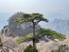-圣莲山风景区
