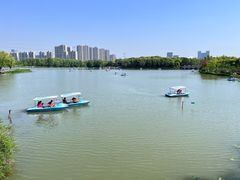 -昆山城市生态森林公园