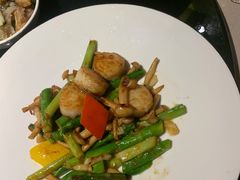 烧汁白玉菇炒带子-尚一汤·粤菜海鲜(环球港店)