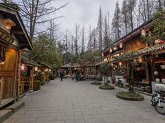 -青城甲(青城山店)