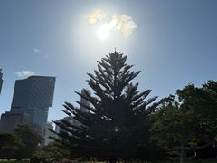 -悉尼歌剧院