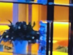 -尚荟汤泉生活馆