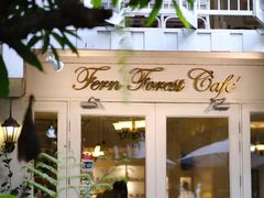 -Fern Forest Cafe