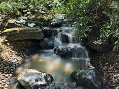 -水濂山森林公园