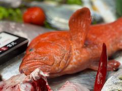 -吴记富苑(朝阳店)