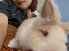 -猫猫幼稚园·撸猫·桌游·电玩