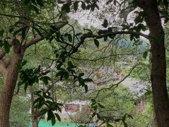-杭州少年儿童公园