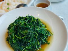 -上海会馆(香港名都店)