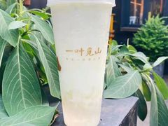 -一叶觅山(半边街店)