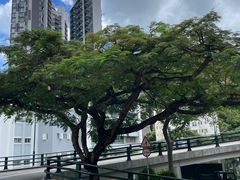 -香港大学