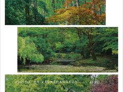 -上海共青森林公园