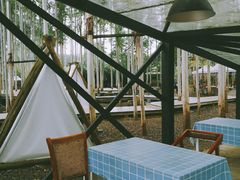 -桉树林A coffee 森林餐厅(三圣乡店)