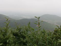 景点-冶父山国家森林公园