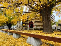 -北京石刻艺术博物馆(五塔寺)