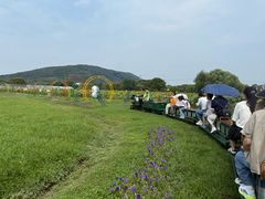 -苏州太湖西山岛开心农场