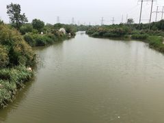 -大港湿地公园