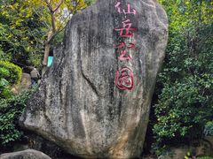 -仙岳公园