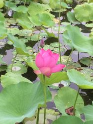 -大望京儿童游乐场