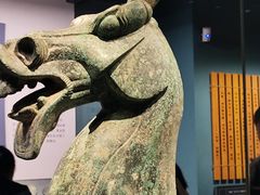 -广西壮族自治区博物馆