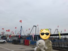 -红星码头