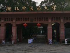 -湖北中医药大学(昙华林校区)