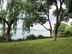 -浙江西子宾馆·牡丹厅