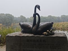 -中卫御苑福膳·养生局(圆明园店)