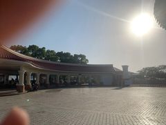 -苏州太湖西山岛开心农场