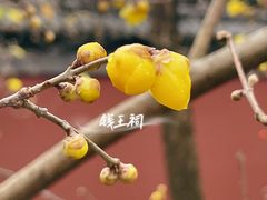 -钱王祠