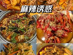 -辣盆盆麻辣小龙虾(哈尔滨总店)